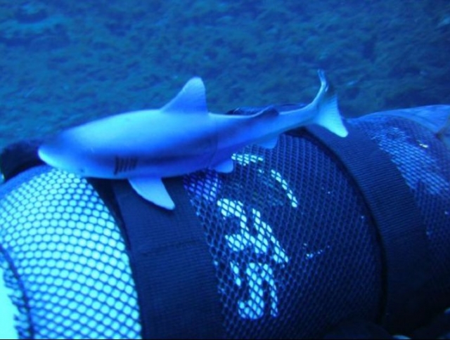  Between the seabed 